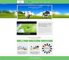 网页与网站设计 打造卓越用户体验的关键要素