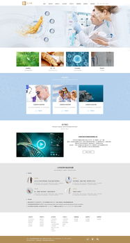 网页与网站设计 构建数字世界的艺术与科学